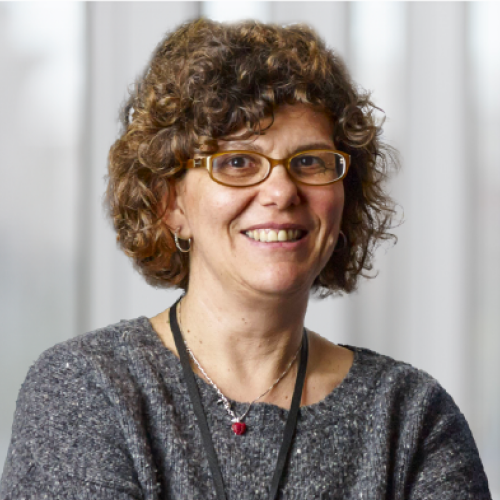 Professor Dimitra Simeonidou