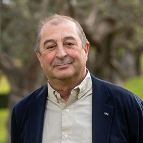 Professor Francesc Torres